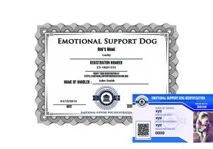 Emotional Support Dog Certificate Template Emotional Support Dog Registration Basic