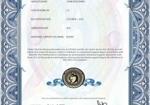 Emotional Support Dog Certificate Template Esa Dog Certificate Page 2 Pics About Space