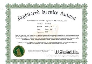 Emotional Support Dog Certificate Template Information On Emotional Support Dog Certificate Dog