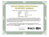 Emotional Support Dog Certificate Template the Particular Unexpected Truth with Regards to Mental