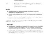 Employee Employer Contract Template Employment Agreement General Template Word Pdf by