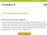 Employee Feedback Email Template Survey Invitation Google Search Nps Survey Email