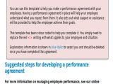 Employee Performance Contract Template Performance Agreement Contract Sample 10 Examples In