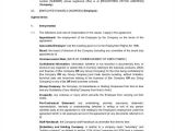 Employment Contract Template Nsw Executive Employment Contract Tipsense Me