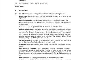 Employment Contract Template Nsw Executive Employment Contract Tipsense Me