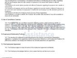 Employment Contract Template Nz Casual Employment Contract Agreement Employers