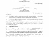 Employment Contract Template Nz New Zealand Individual Employment Agreement Legal forms