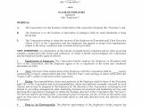 Employment Contract Template Ontario Ontario Employment Agreement for Ceo Position Legal