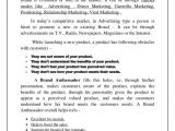 Employment Contract Template Zimbabwe 50 Great Brand Ambassador Agreement Te D57322 Edujunction