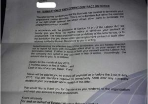Employment Contract Template Zimbabwe Econet Employment Termination Letter Circulates On social