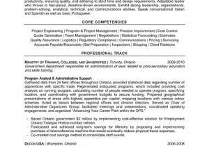 Engineer Professional Resume Template Engineering Professional Resume Template Premium Resume