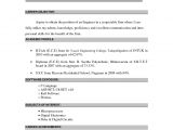 Engineer Resume Career Objective How to Write Career Objective with Sample