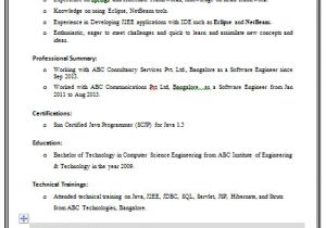 Engineer Resume Computer Science Over 10000 Cv and Resume Samples with Free Download Best