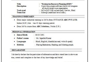Engineer Resume Computer Science Over 10000 Cv and Resume Samples with Free Download