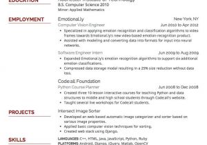 Engineer Resume Font 32 Best Resume Example Images On Pinterest Sample Resume