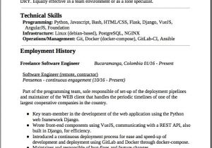 Engineer Resume Profile 1902 Best Free Resume Sample Images On Pinterest Free