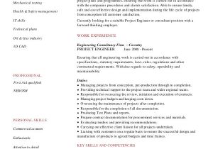 Engineer Resume Project List 10 Construction Resume Example Pdf Doc Free