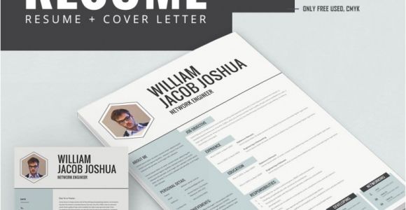 Engineer Resume Psd Network Engineer Resume Template 7 Free Samples