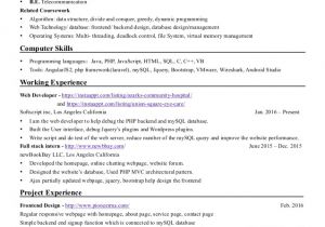 Engineer Resume Website Web Developer Full Stack Engineer Backend Developer