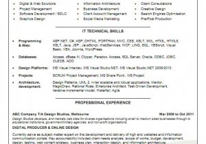 Engineering Resume Australia Cv Template Australia Australia Cvtemplate Template