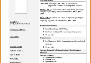 Engineering Resume format Pdf 8 Cv format Pdf for Freshers theorynpractice