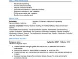 Engineering Resume Summary Professional Engineering Resume Examples World Of Reference