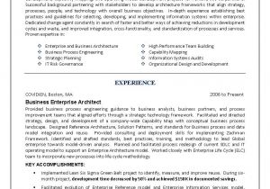 Enterprise Architect Resume Sample It Resume Engineering Sample Resume Business Architect