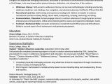 Entry Level It Resume Sample Entry Level Resume Examples and Writing Tips
