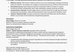 Entry Level It Resume Sample Entry Level Resume Examples and Writing Tips