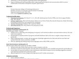 Entry Level It Resume Sample Sample Entry Level Resume 9 Examples In Word Pdf