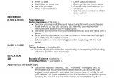 Entry Level Resume Samples Entry Level Resume Templates to Impress Any Employer