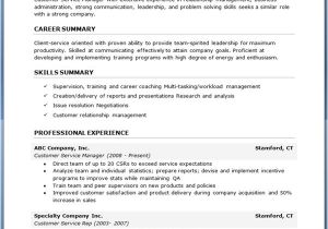 Entry Level Resume Templates Free Free Professional Resume Templates Download Resume Downloads