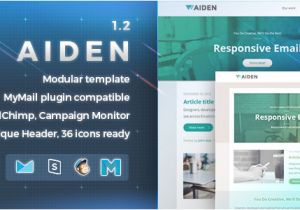 Envato Responsive Email Templates Aiden Responsive Email Template by Nutzumi themeforest