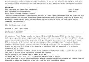 Epcm Contract Template Epc Project Planner Mgr 39 S Cv