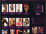 Escort Directory Template Flynax Escort Agency software 4 3 All Plugins All