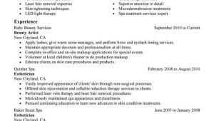 Esthetician Resume Sample Beauty Artist Resume Example Sample Cosmetology Examples