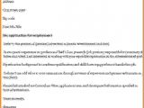 Evil Hr Lady Cover Letter Letter Of Employment Template