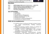 Example Of Job Interview Resume 6 Cv Pattern for Job theorynpractice