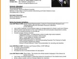 Example Of Resume for Job Application In Philippines 6 Cv format Philippines theorynpractice