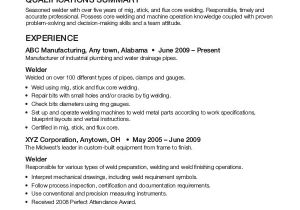 Example Of Resume for Job Interview 45 Download Resume Templates Pdf Doc Free Premium