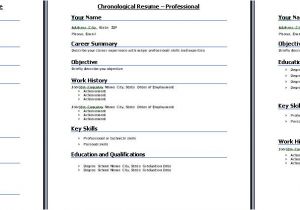 Example Of Resume for Job Interview Standard Resume formats What Resume format to Choose