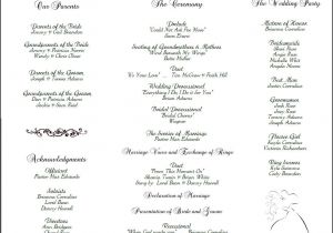 Examples Of Wedding Programs Templates Example Of Wedding Programs Wedding Program Back