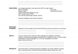 Excel Resume Template Excel Resume Template Sample Resume Cover Letter format