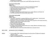 Excel Resume Template Excel Vba Developer Resume Samples Velvet Jobs