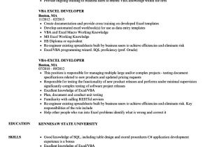 Excel Resume Template Excel Vba Developer Resume Samples Velvet Jobs