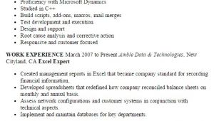 Excel Resume Template Professional Excel Expert Templates to Showcase Your