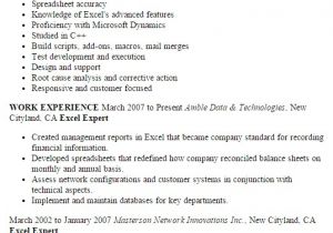 Excel Resume Template Professional Excel Expert Templates to Showcase Your