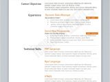 Excel Resume Template Programmer Resume Template Free Excel Templates