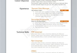 Excel Resume Template Programmer Resume Template Free Excel Templates