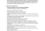Executive assistant Contract Template Contract Senior Level Executive Personal assistant